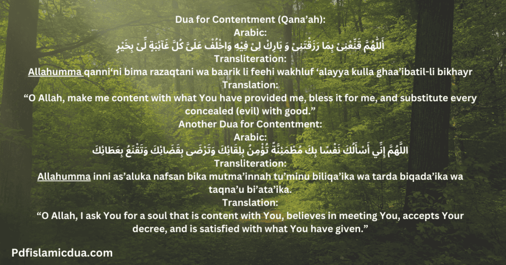 Dua for Contentment (Qana'ah) in Everything