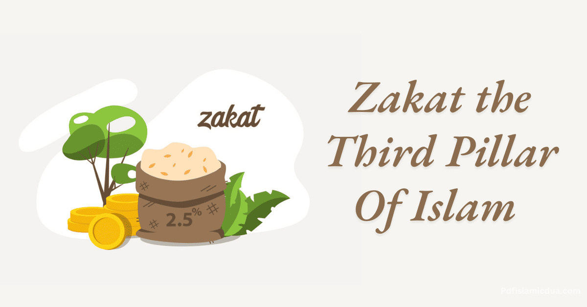 Facts About Zakat the Third Pillar Of Islam